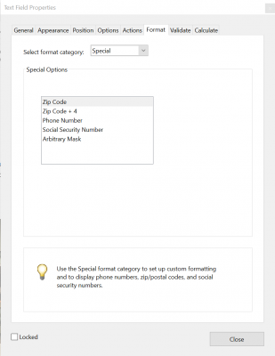 special format for form field; includes zip code, phone number, and social security number